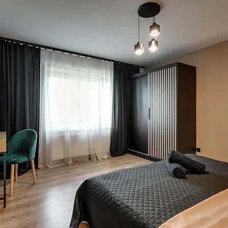 Loft House Double Z Ogródkiem Rybnik (Silesia)