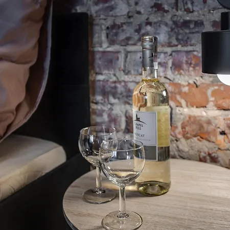 Loft House Double Z Ogrodkiem Apartment Rybnik (Silesia)