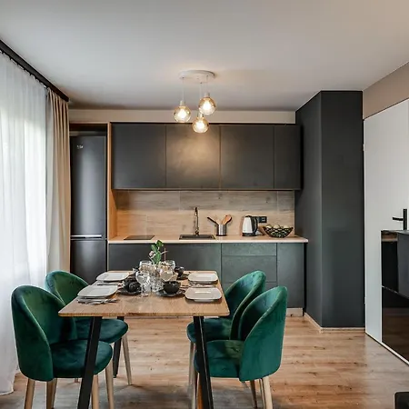 Loft House Double Z Ogródkiem * Rybnik (Silesia)