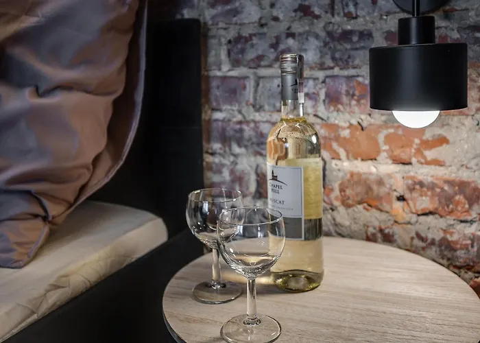 Loft House Double Z Ogrodkiem Apartmán Rybnik (Silesia)